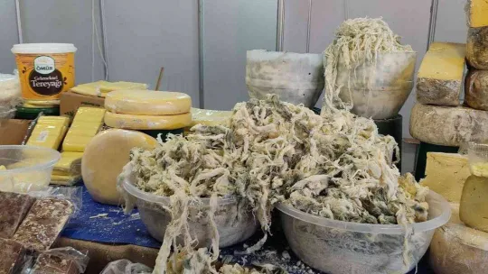 Sultangazi'de Ardahan rüzgarı esti