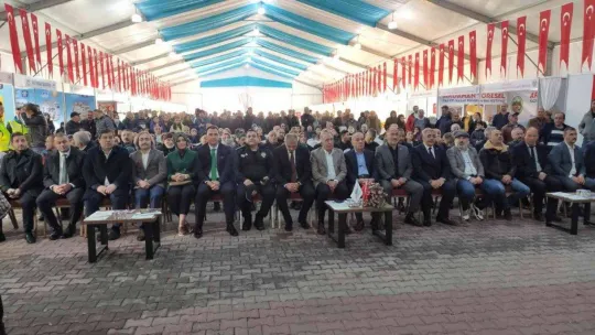 Sultangazi'de Ardahan rüzgarı esti