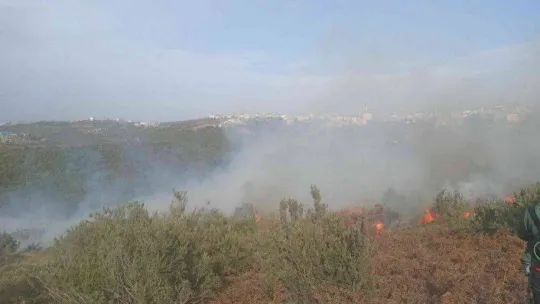 Sultangazi'de çalılık alanda korkutan yangın