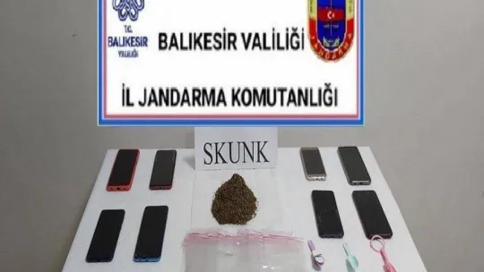 Susurluk ve Bandırma'da tarihi eser operasyonu