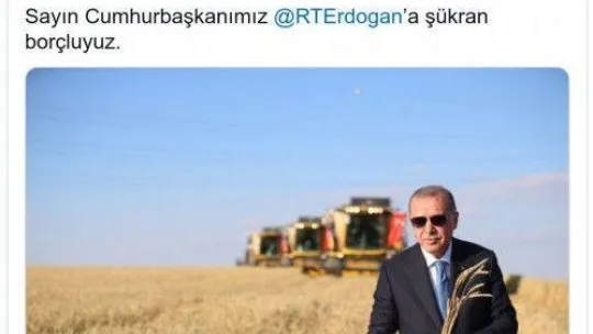 Tahıl koridorunda sevkiyat yeniden başladı