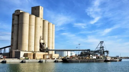 Tarım, gıda ve içecek sektörü ilk 10 ayda 20,2 milyar dolar ihracat gerçekleştirdi