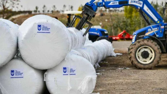 Tarım Kampüsü'nde yetiştirilen silajlık mısır hasadı yapıldı