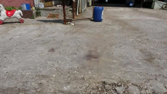 Tavuk çiftliğindeki vahşet için müebbet talebi