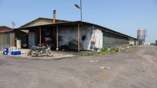 Tavuk çiftliğindeki vahşet için müebbet talebi