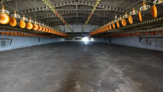 Tavuk çiftliğindeki vahşet için müebbet talebi