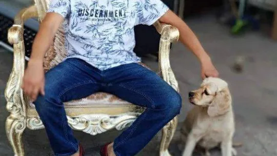 Tek dostu olan köpeği 4 kez çalındı, isyan etti