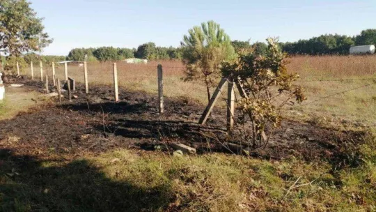 Tekirdağ'da 110 kovanlık arıcılık tesisi kül oldu