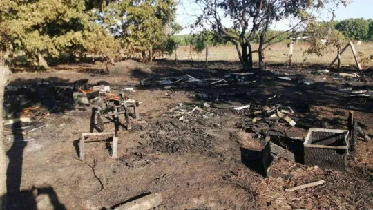 Tekirdağ'da 110 kovanlık arıcılık tesisi kül oldu