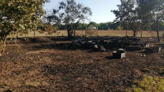 Tekirdağ'da 110 kovanlık arıcılık tesisi kül oldu