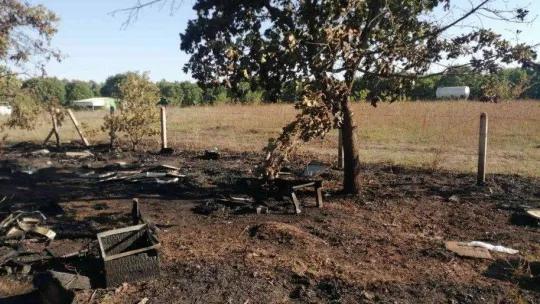 Tekirdağ'da 110 kovanlık arıcılık tesisi kül oldu