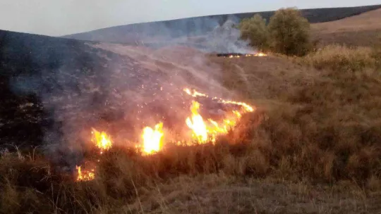 Tekirdağ'da 700 dönüm anız alev alev yandı