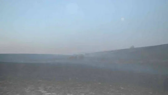 Tekirdağ'da 700 dönüm anız alev alev yandı