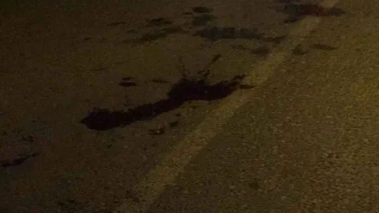 Tekirdağ'da akrabaların arsa kavgası kanlı bitti