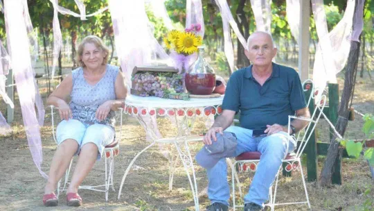 Tekirdağ'da bağ bozumu şenliği: Türkiye üzüm ihracatında dünya birincisi