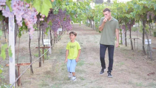 Tekirdağ'da bağ bozumu şenliği: Türkiye üzüm ihracatında dünya birincisi