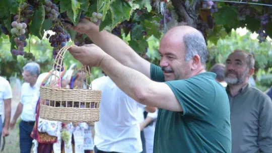 Tekirdağ'da bağ bozumu şenliği: Türkiye üzüm ihracatında dünya birincisi