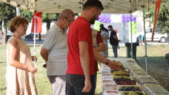 Tekirdağ'da bağ bozumu şenliği: Türkiye üzüm ihracatında dünya birincisi