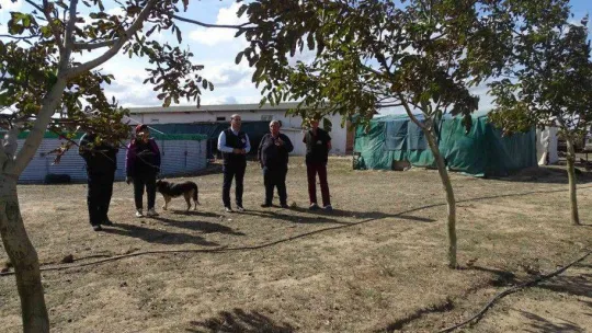 Tekirdağ'da ceviz hasadı