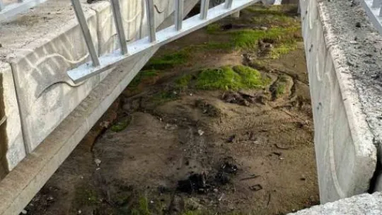 Tekirdağ'da feci kaza: 1 ölü