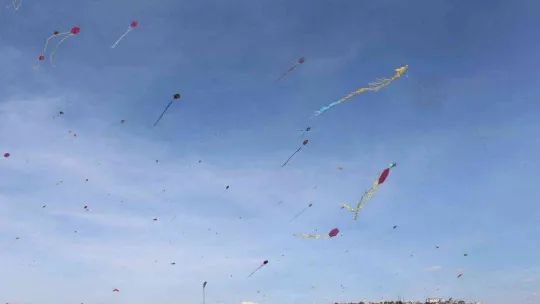 Tekirdağ'da gökyüzü uçurtmalarla kaplandı