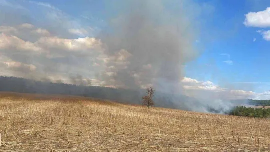 Tekirdağ'da orman yangını söndürüldü