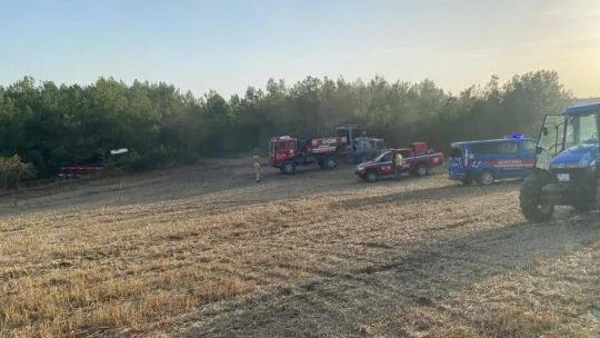 Tekirdağ'da orman yangını