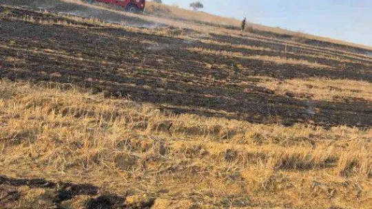 Tekirdağ'da orman yangını