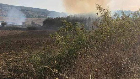 Tekirdağ'da orman yangını