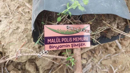 Tekirdağ'da polis künyeli fidan dikimi