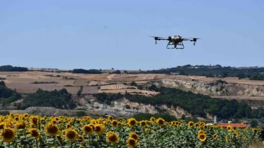 Tekirdağ'da tırtıl istilası: Dron ile operasyon başlatıldı