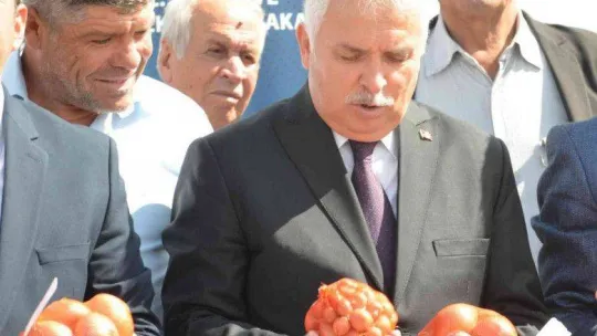 Tekirdağ soğanı coğrafi işaret aldı: 3 bin ton ürün bekleniyor