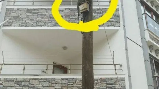 Telefon direğinde mahsur kalan kedi kurtarıldı