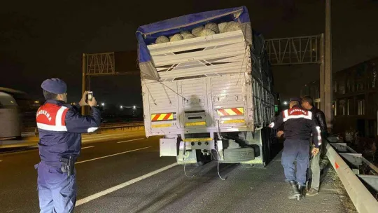 TEM'de 2 kamyon çarpıştı, araçta sıkışan sürücü yaralandı