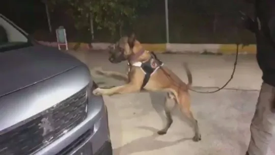 TEM'de durdurulan araçtan 32 kilogram uyuşturucu ele geçirildi