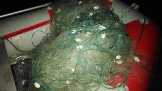 Terkos Gölü'nde yasadışı avcılık yapanlar suçüstü yakalandı