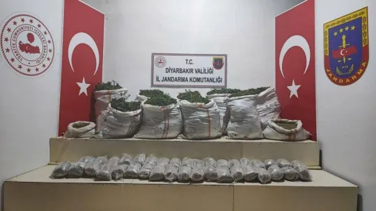Terör örgütü PKK'nın finans kaynaklarına darbe: 1 milyon 493 bin kök kenevir ele geçirildi