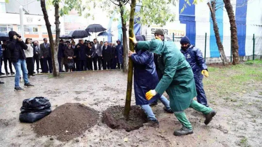 Terör saldırısında hayatını kaybeden Yağmur'un anısına okuluna fidan dikildi