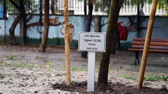 Terör saldırısında hayatını kaybeden Yağmur'un anısına okuluna fidan dikildi