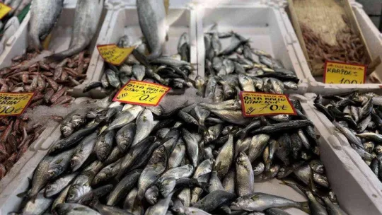 Tezgahlarda çinekop bollaştı, fiyatı yarı yarıya düştü