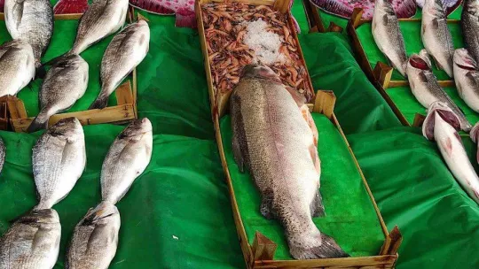 Tezgahlarda somon kıtlığı