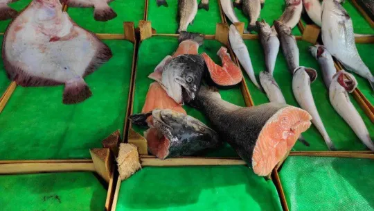 Tezgahlarda somon kıtlığı