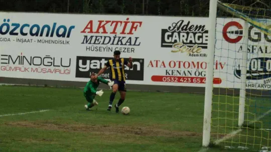 TFF 3. Lig: Belediye Derincespor: 2 - Hacettepe 1945: 1