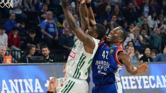 THY Euroleague: A. Efes: 88 - Panathinaikos: 69