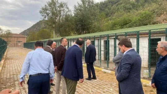 Tıp Fakültesi dekanı ve hocaları barınak ve hayvan hastanesinde inceleme yaptı