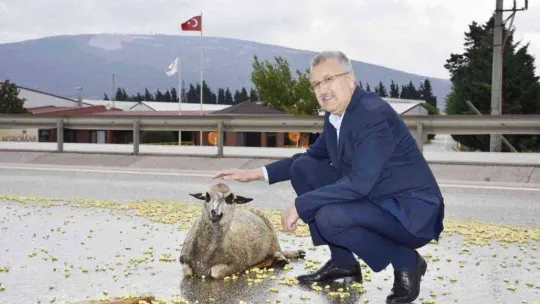 Tır şoförünün dikkati faciayı önledi