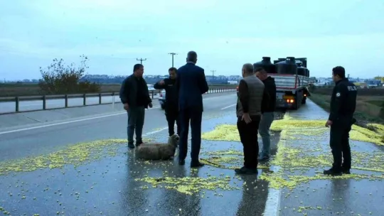 Tır şoförünün dikkati faciayı önledi