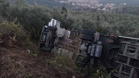 Tır zeytinliğe devrildi, sürücü yaralandı