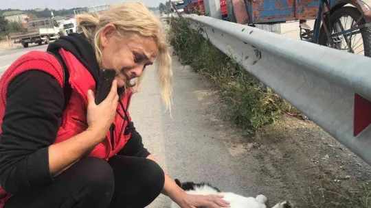Tırın ezdiği köpek telef oldu, mahalle sakinleri gözyaşlarını tutamadı