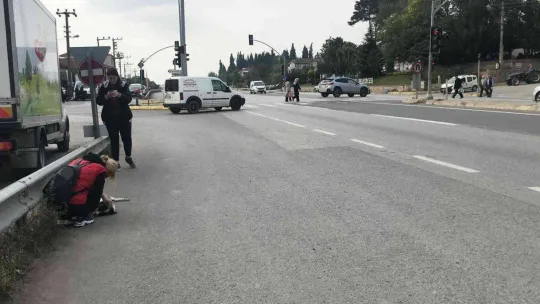 Tırın ezdiği köpek telef oldu, mahalle sakinleri gözyaşlarını tutamadı